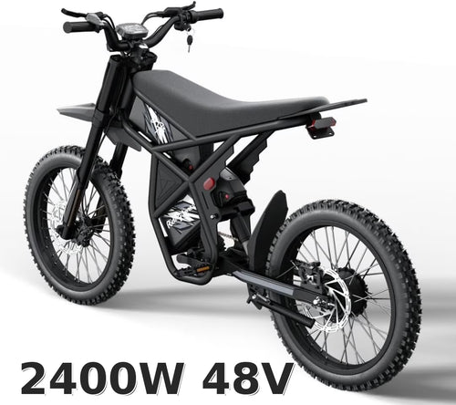 Ridingtimes GT73 Electric Motorbike 2400W 48V 18.2AH*2 Electric BIKE with 25" tires digital screen Carbon Steel,BLACK